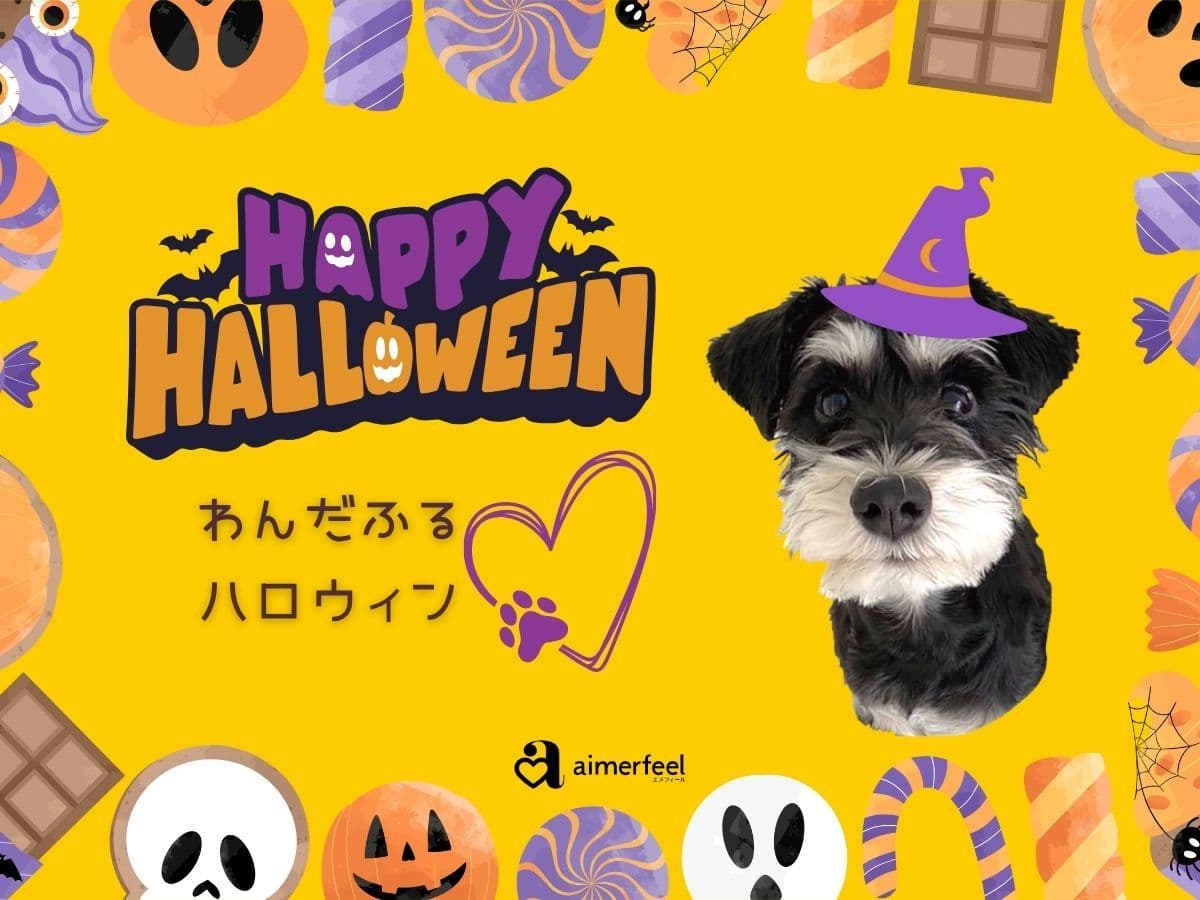 ギフトカード画像選択肢513